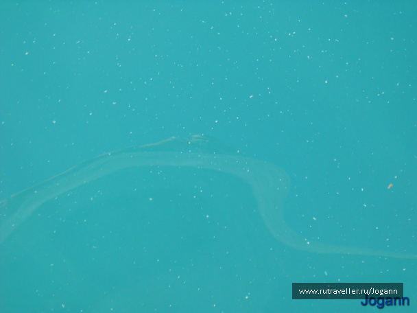 photo 175563
