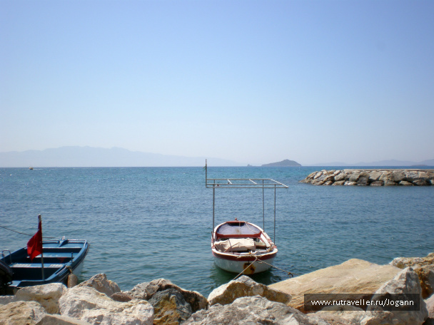 photo 176441