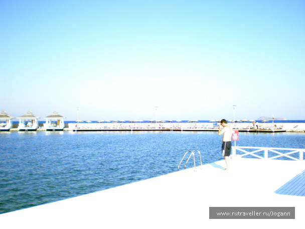 photo 176451