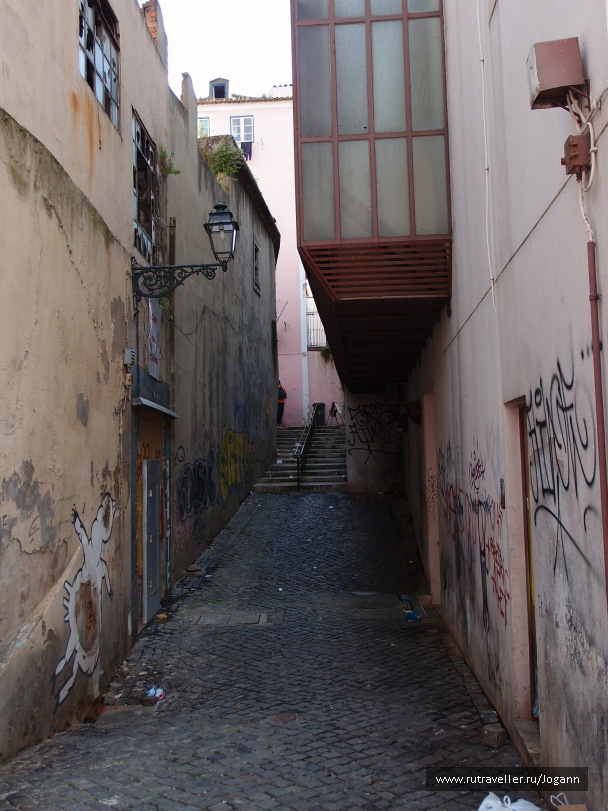 photo 518475