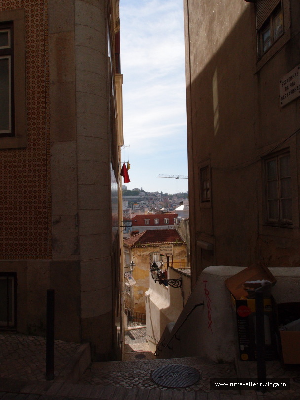 photo 518487