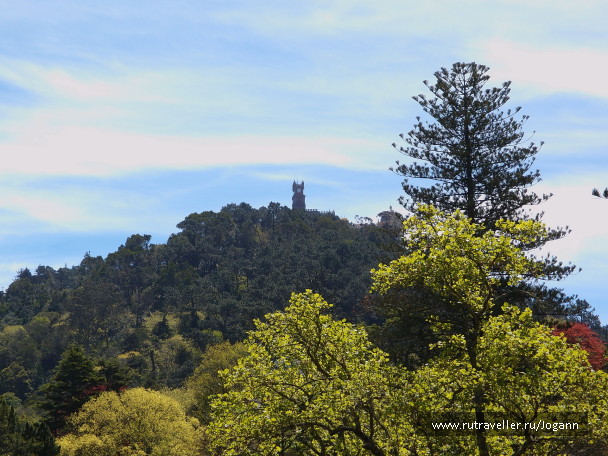 photo 518715