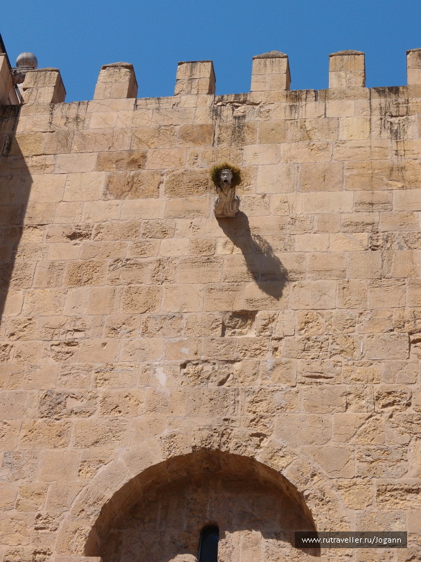 photo 518837
