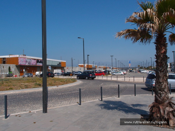 photo 520019