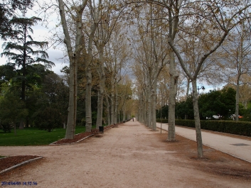 photo 733003