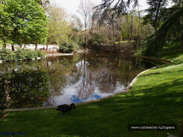 photo 733009
