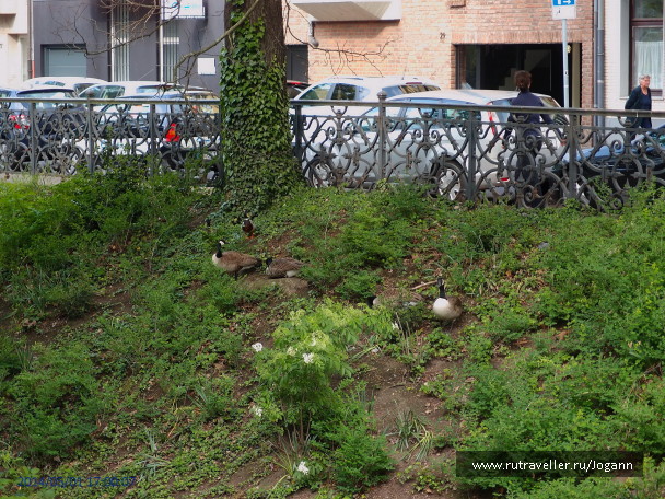 photo 1112549