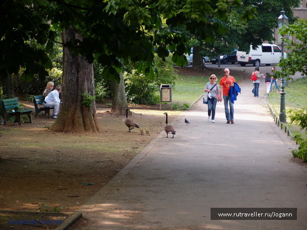photo 1112552