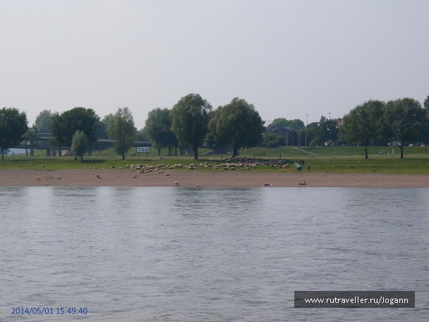photo 1112558