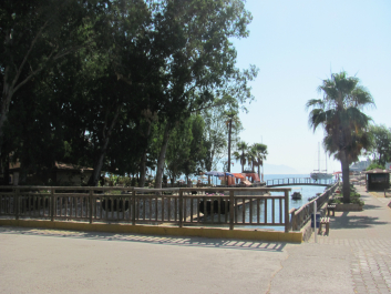 photo 1007869
