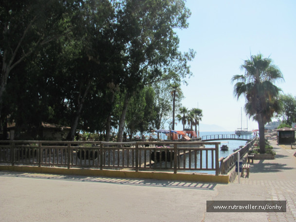 photo 1007869