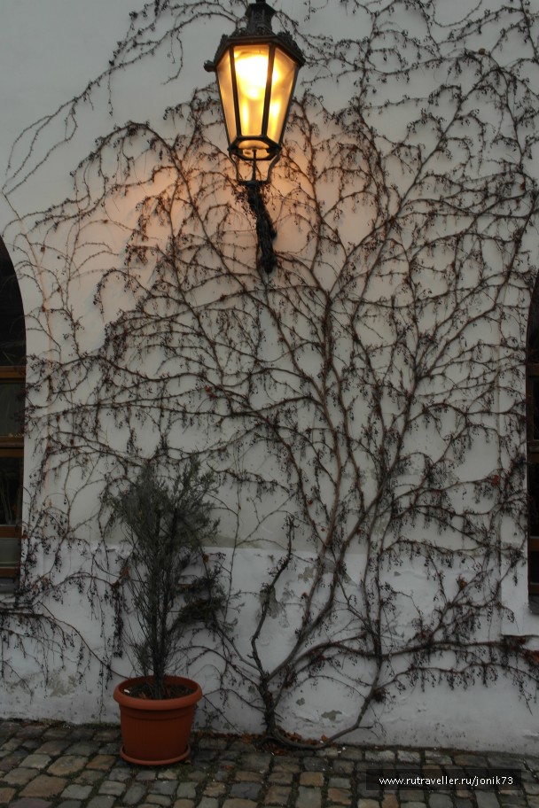 photo 646597