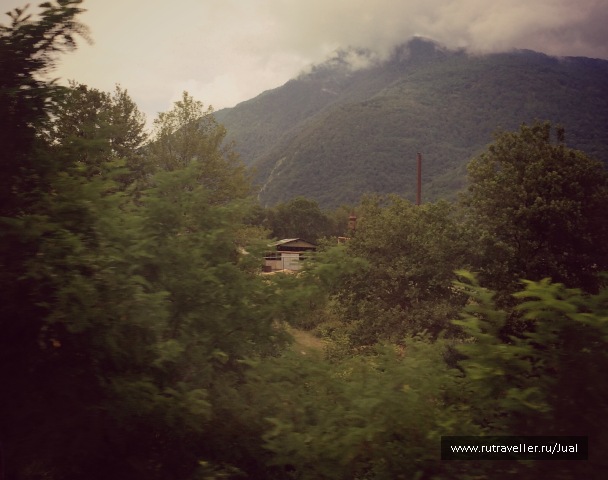 photo 1331025