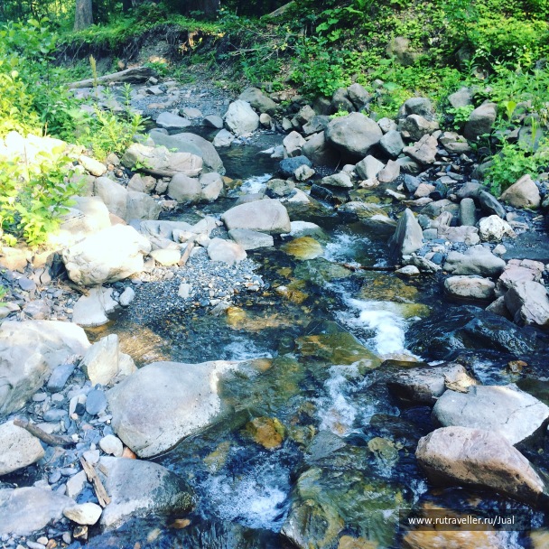 photo 1335044