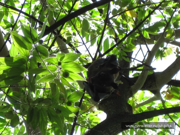 photo 939616