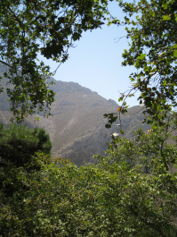 photo 145417