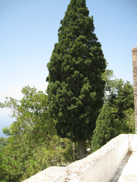 photo 145423