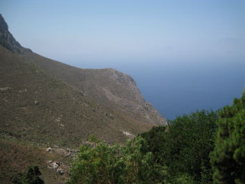 photo 145424