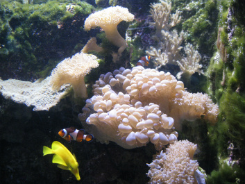 photo 145568