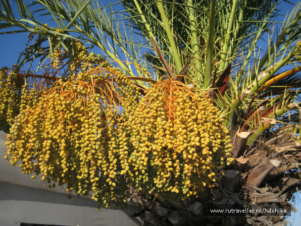 photo 147165