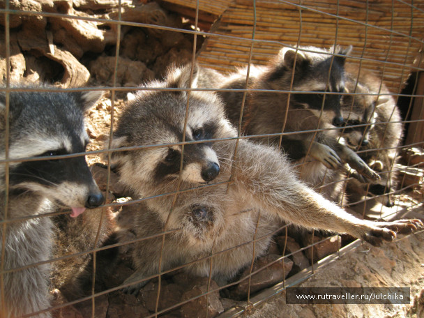 photo 147173