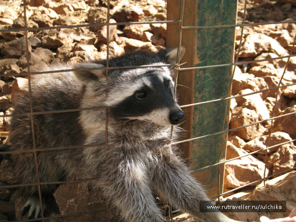 photo 147174