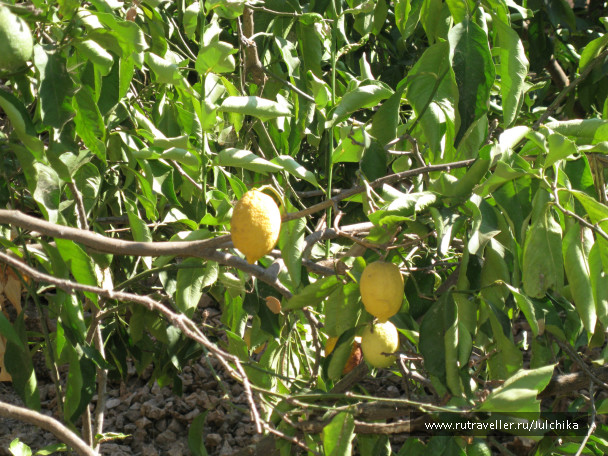 photo 147175