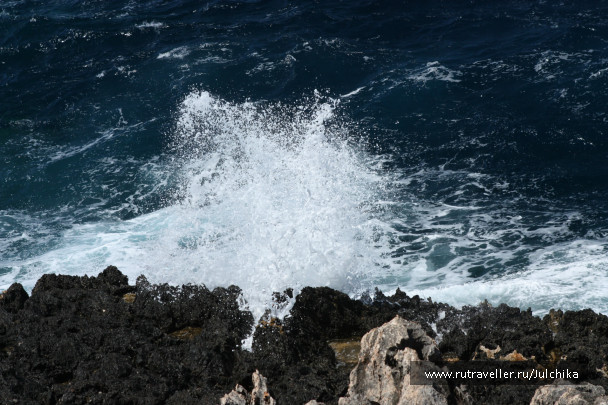 photo 147195