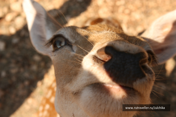 photo 147201