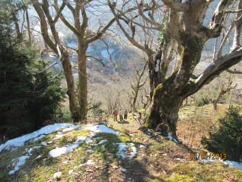 photo 651868