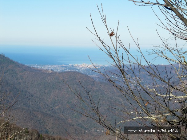 photo 861623