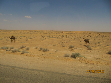photo 652265