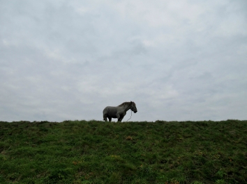 photo 902123