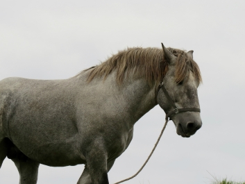 photo 902127