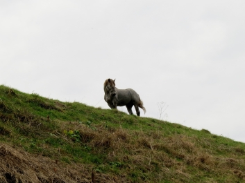 photo 902137