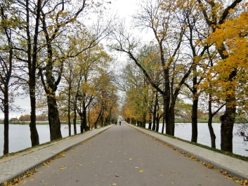 photo 913619