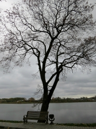 photo 913623