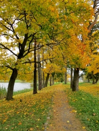 photo 917479