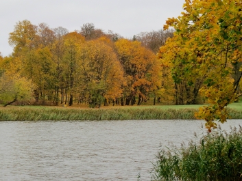 photo 917480