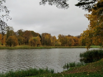 photo 917481