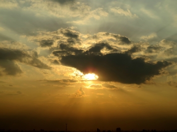 photo 911819