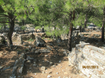 photo 668772