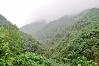 photo 1099115