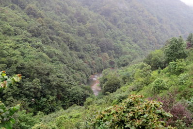 photo 1099117