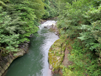 photo 1099118