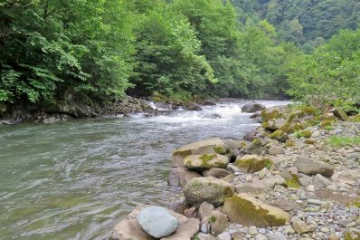 photo 1099119
