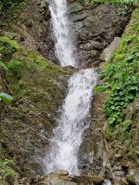 photo 1099121