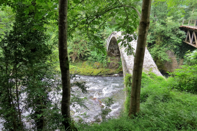 photo 1099124