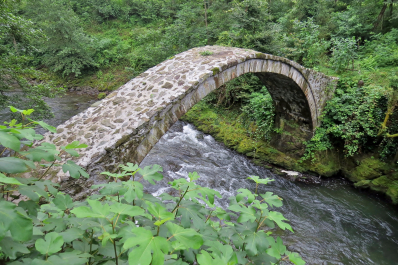 photo 1099125