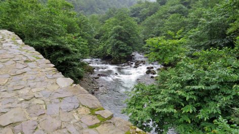 photo 1099127
